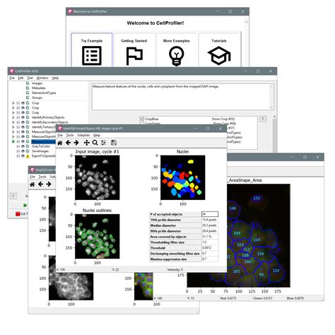 cem profiler|CellProfiler.